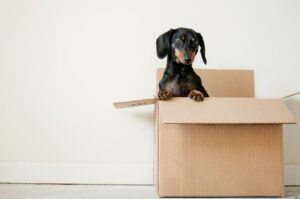 temporary storage facility customers