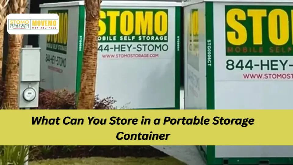 What Can You Store in a Portable Storage Container