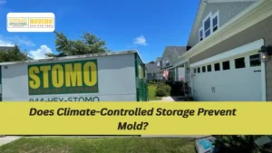 Does Climate-Controlled Storage Prevent Mold?