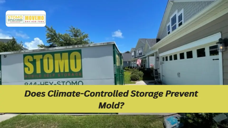 Does Climate-Controlled Storage Prevent Mold?